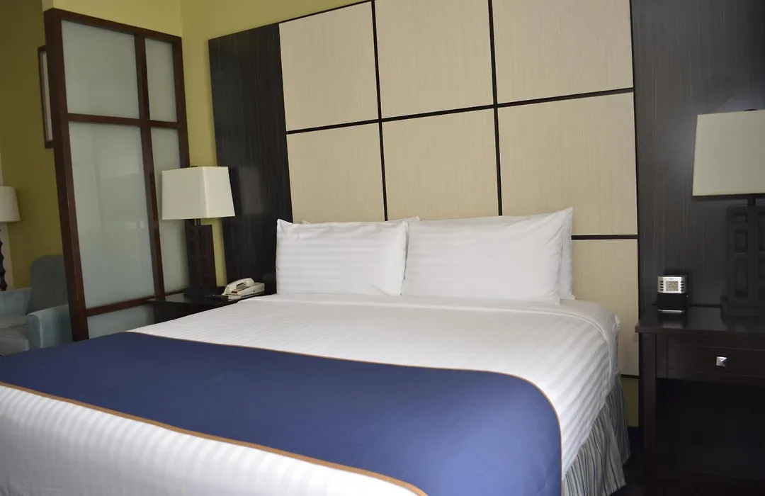 Super 8 By Wyndham Irving/Dfw Apt/North-1